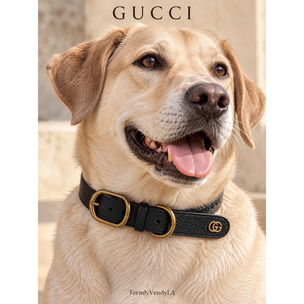 Gucci Black Demetria Pebbled Leather Pet Dog Collar Gold Double G Logo Large